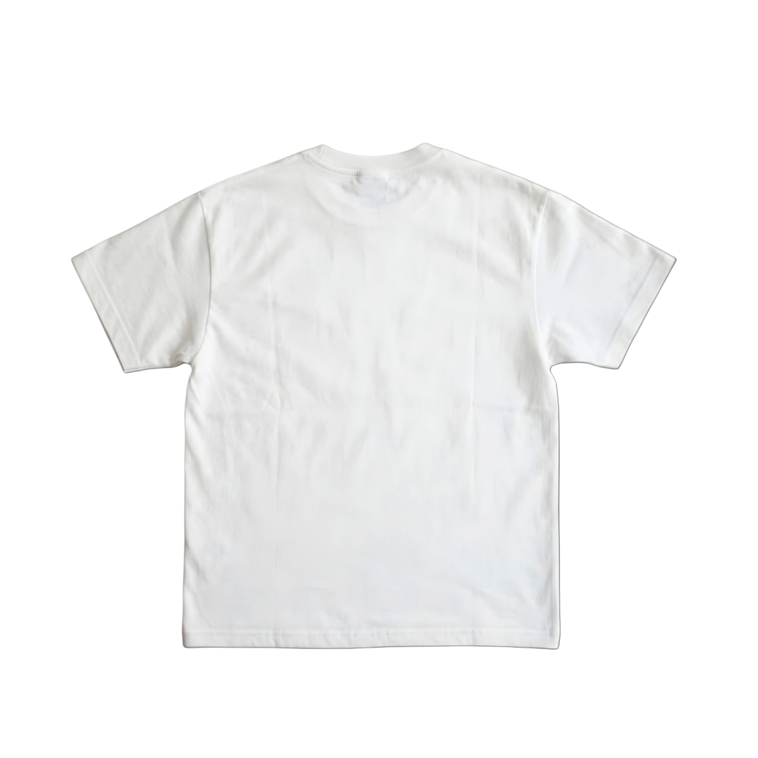 Regular Fit Tee 002